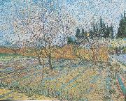 Vincent Van Gogh Flowering orchard with peach-trees oil